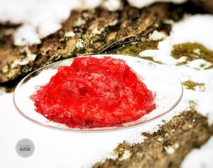 IMG-20180215-WA0001-01 (1)