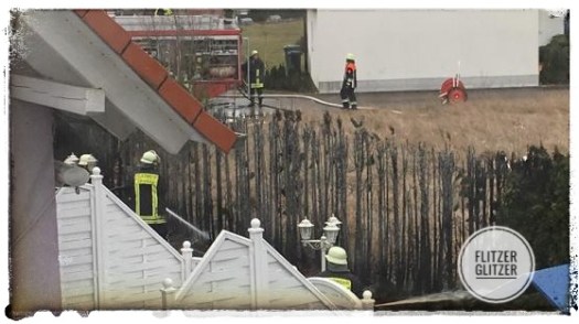 Nur die verkohlten Stämme bleiben als Erinnerung an die grüne Mauer