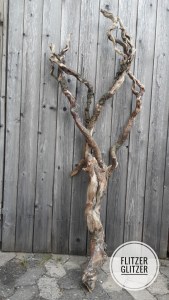 Verwaschenes Treibholz an einer Holzwand lehnend.